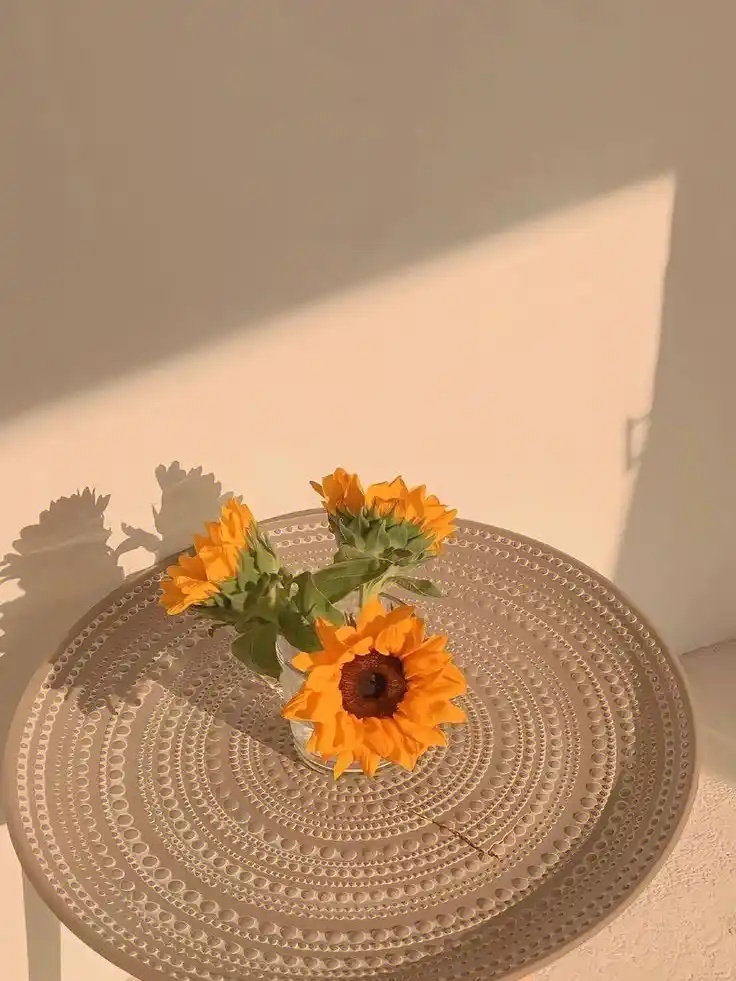 @zzcseo+2025最新蜘蛛池_疑难解答全攻略_升级版v499.657安卓版V88.43.93下载